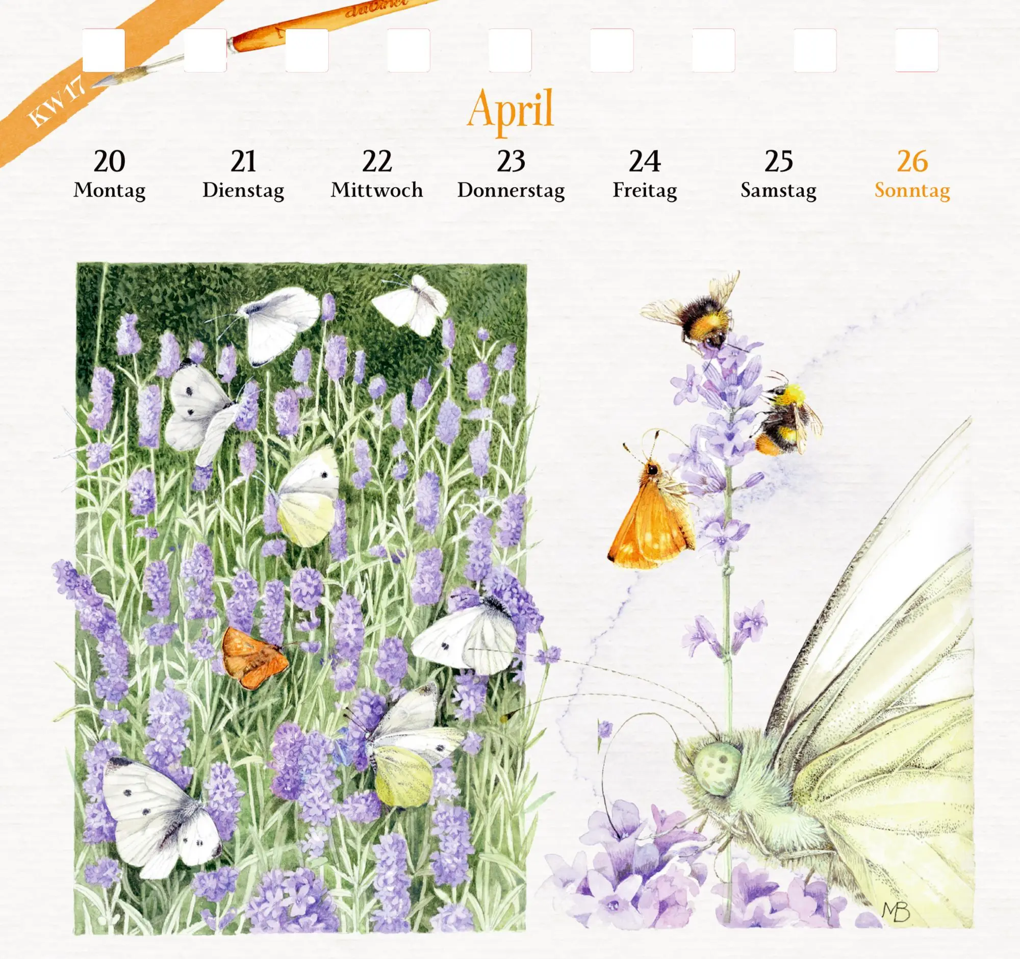 Bild: 4050003958347 | Kalender mit 53 Postkarten 2026 - Spaziergang durch die Natur | Bastin