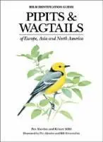 Cover: 9780713658347 | Alstrom, P: Pipits and Wagtails of Europe, Asia and North Am | 2003