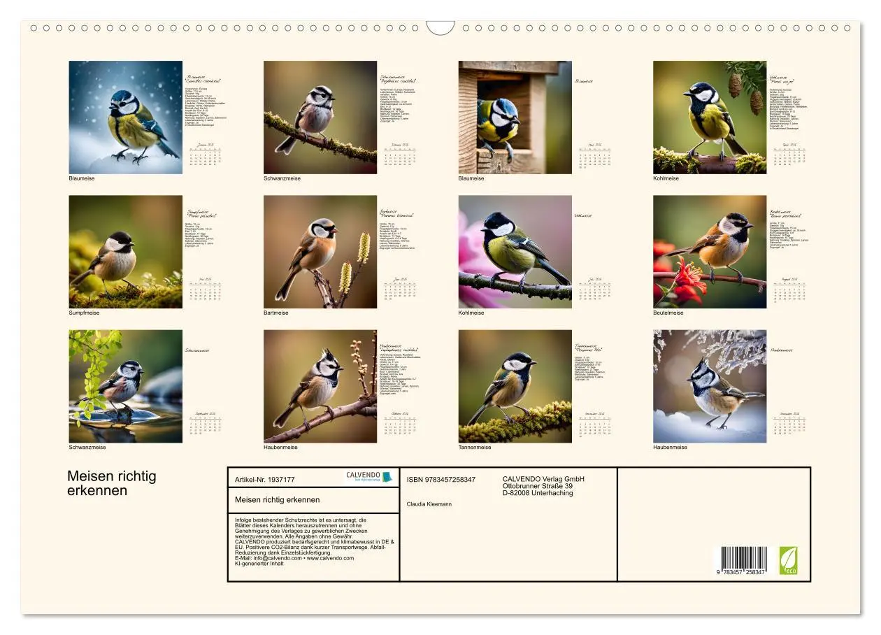 Bild: 9783457258347 | Meisen richtig erkennen (Wandkalender 2026 DIN A2 quer), CALVENDO...