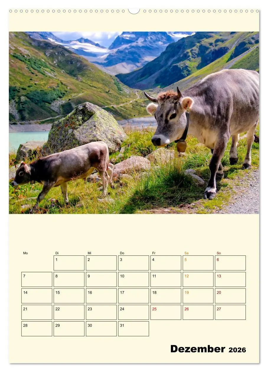 Bild: 9783516348347 | Glückliche Bergkühe (Wandkalender 2026 DIN A2 hoch), CALVENDO...