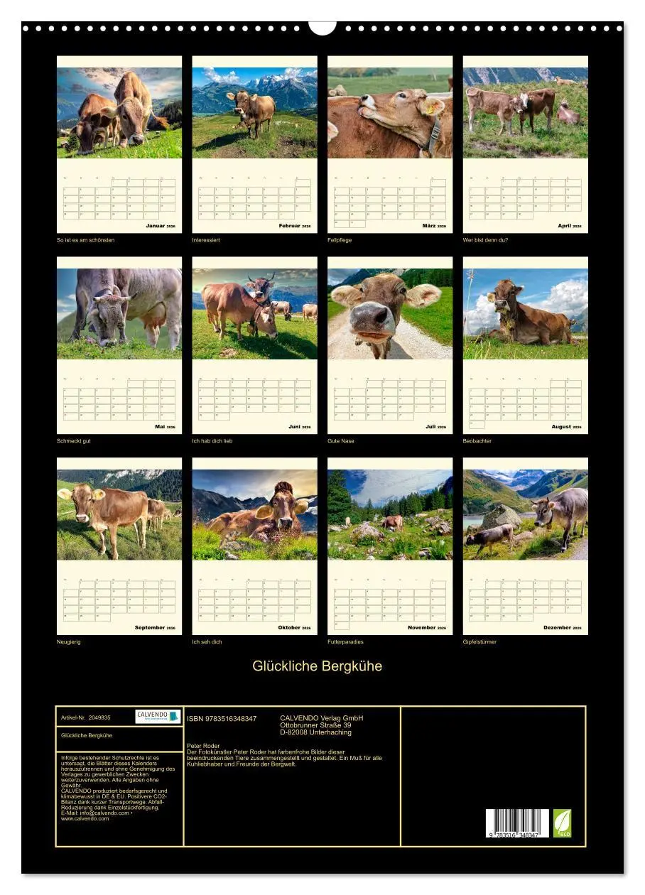 Bild: 9783516348347 | Glückliche Bergkühe (Wandkalender 2026 DIN A2 hoch), CALVENDO...
