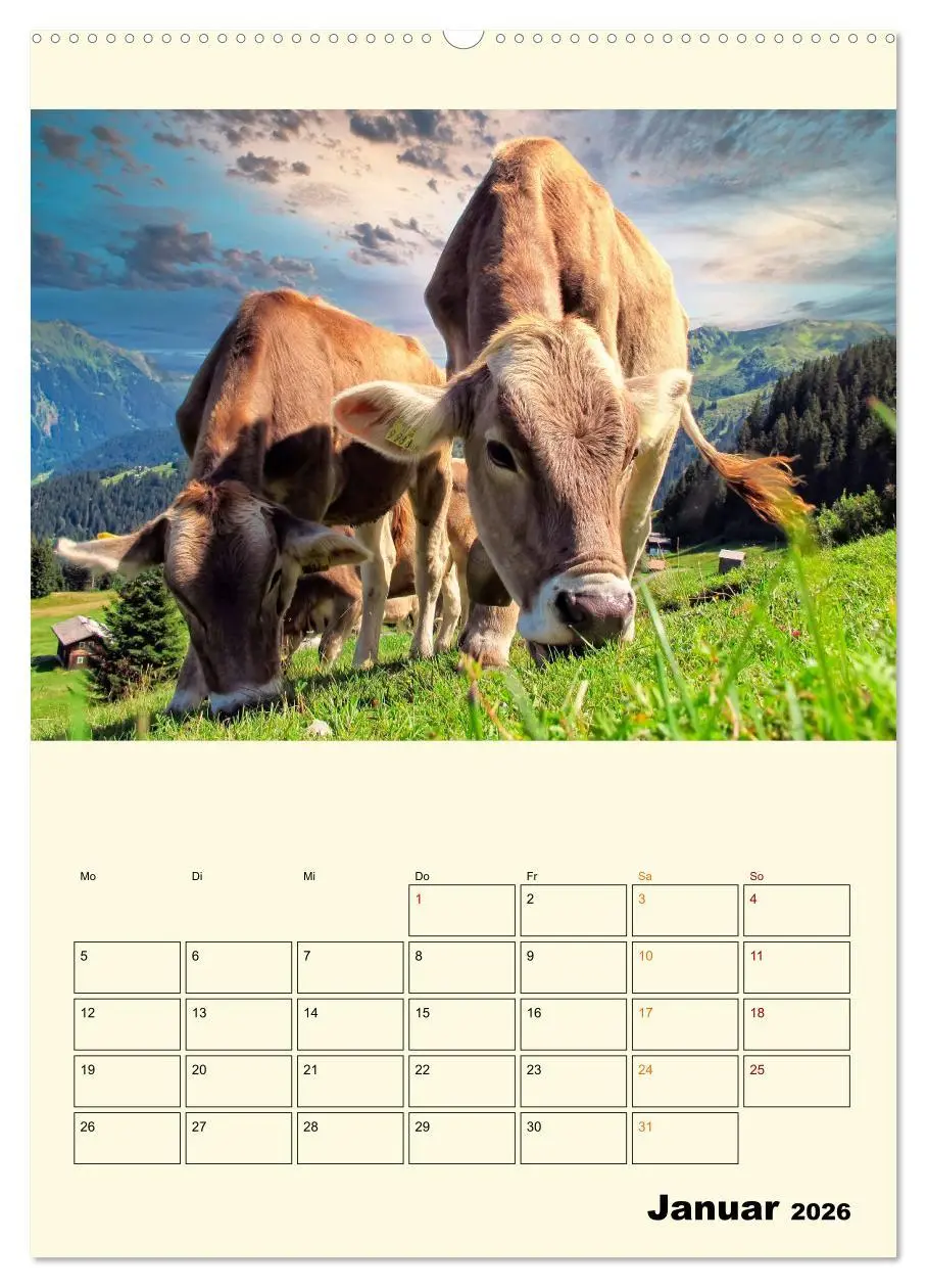 Bild: 9783516348347 | Glückliche Bergkühe (Wandkalender 2026 DIN A2 hoch), CALVENDO...