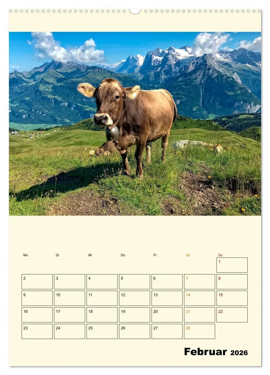 Bild: 9783516348347 | Glückliche Bergkühe (Wandkalender 2026 DIN A2 hoch), CALVENDO...