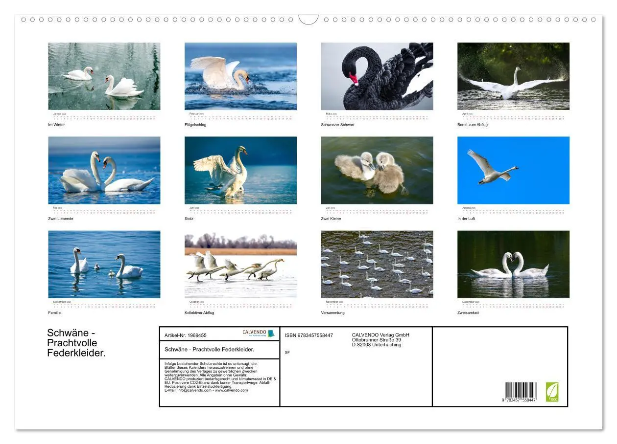 Bild: 9783457558447 | Schwäne - Prachtvolle Federkleider. (Wandkalender 2026 DIN A2...