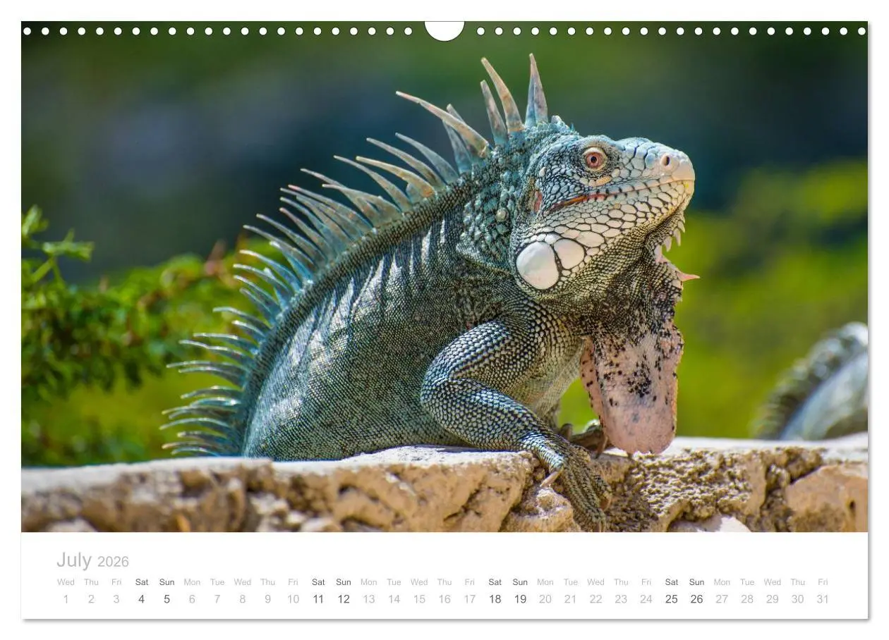 Bild: 9783516568547 | Curacao - Tropical Island (Wall Calendar 2026 DIN A3 landscape),...