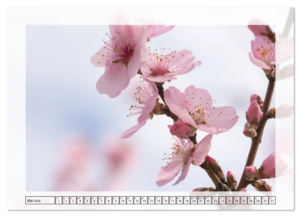 Bild: 9783516638547 | Jeden Monat in der Natur (Wandkalender 2026 DIN A4 quer), CALVENDO...