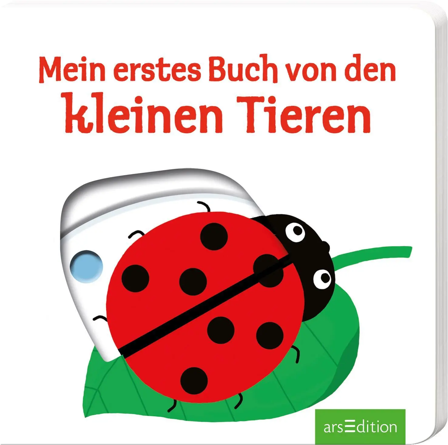 Cover: 9783760798547 | Mein erstes Buch von den kleinen Tieren | Nathalie Choux | Buch | 2013