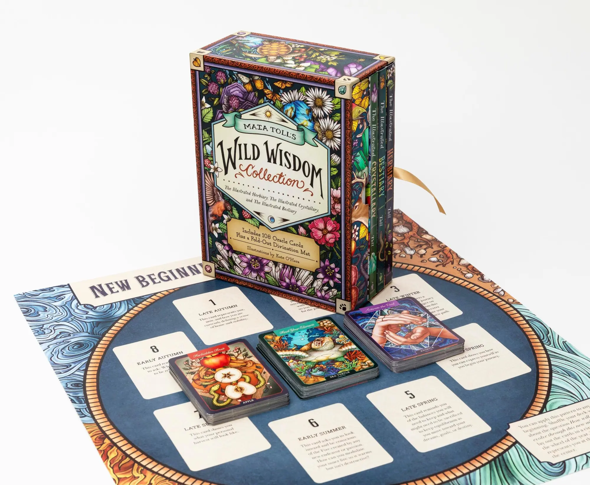 Bild: 9781635868647 | Maia Toll's Wild Wisdom Collection | Maia Toll | Buch | Englisch