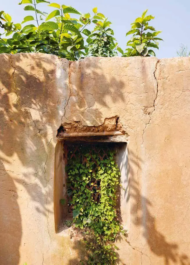Bild: 9783035628647 | Architecture Is a Tool to Improve Lives | Anna Heringer (u. a.) | Buch