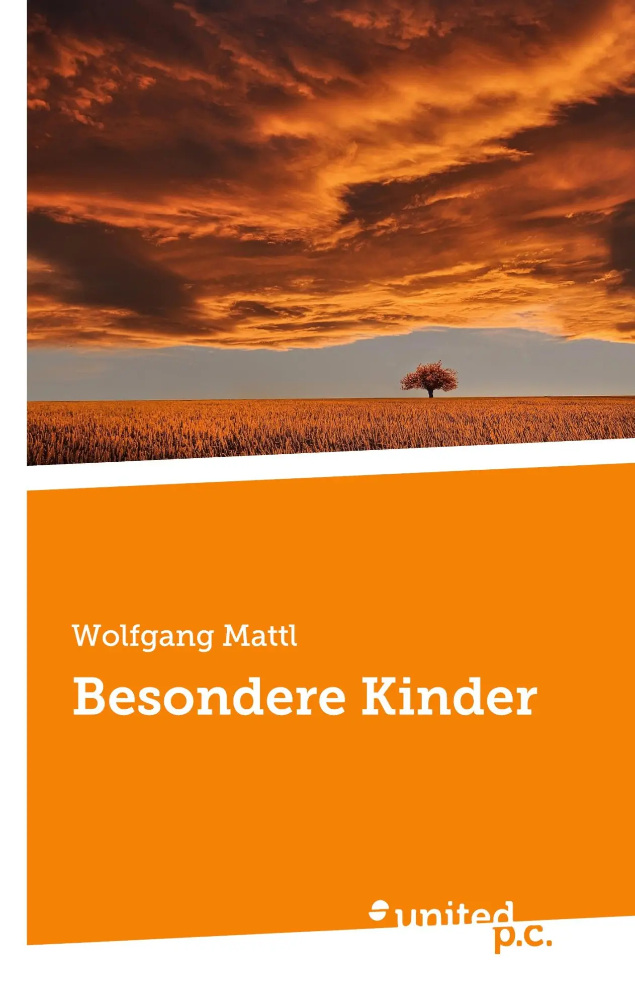Cover: 9783710358647 | Besondere Kinder | Wolfgang Mattl | Taschenbuch | 144 S. | Deutsch