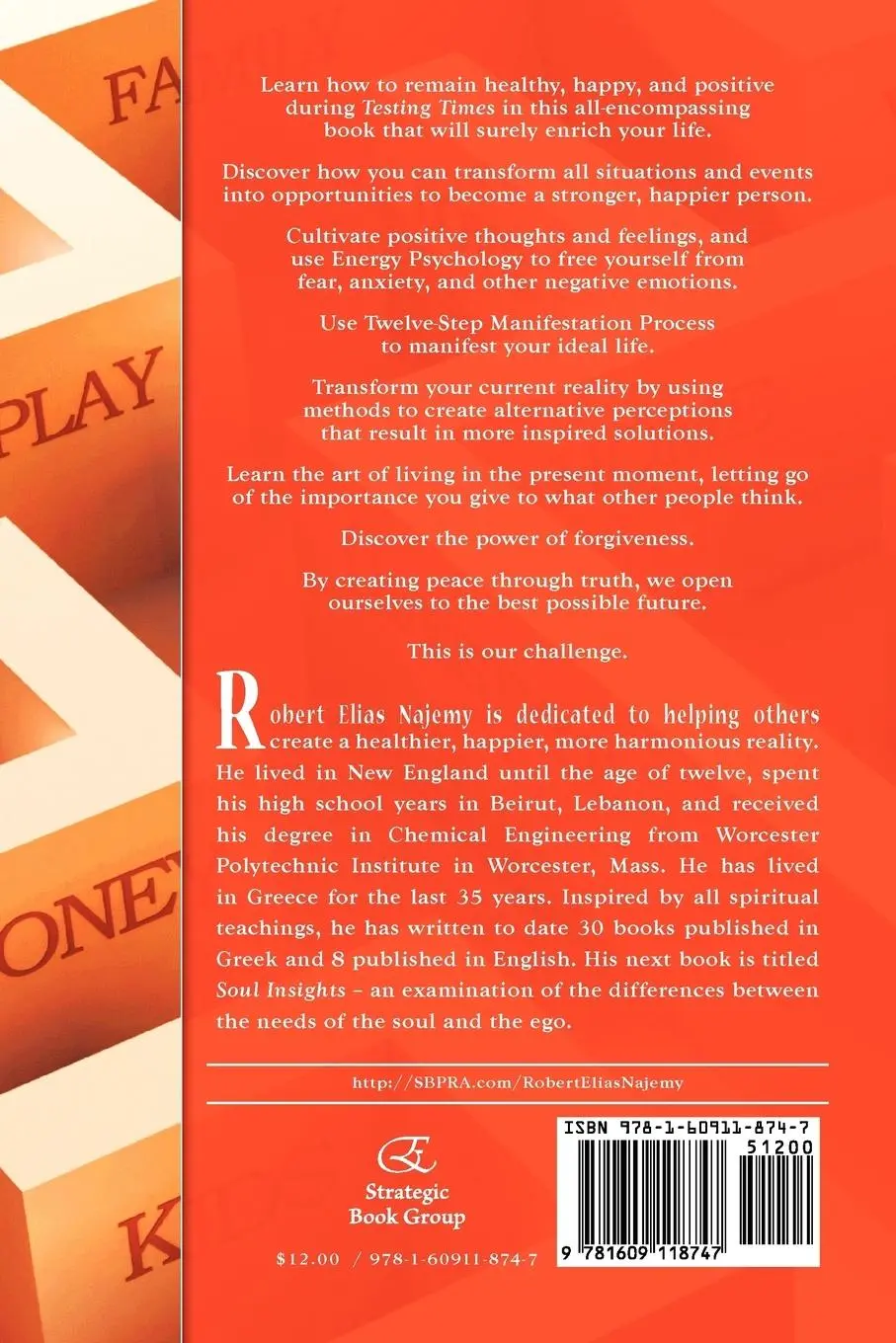 Rückseite: 9781609118747 | Dealing with Testing Times | Robert Elias Najemy | Taschenbuch | 2011
