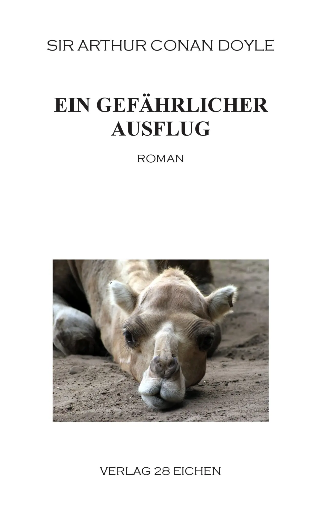 Cover: 9783980938747 | Ein gefährlicher Ausflug | Roman | Arthur Conan Doyle | Taschenbuch