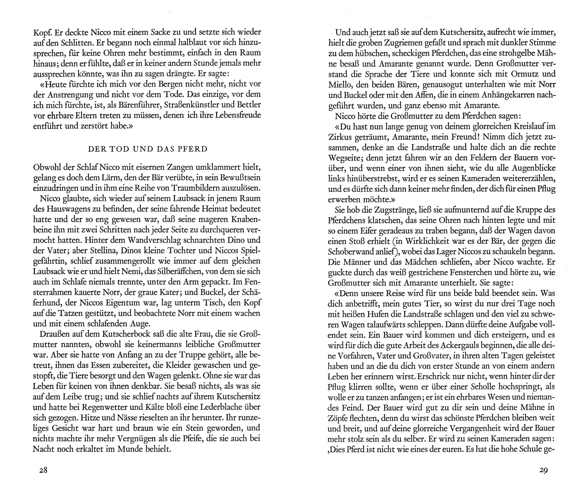 Bild: 9783716518847 | Land deiner Mutter | Nicco und die Sprache der Tiere | Lauber | Buch