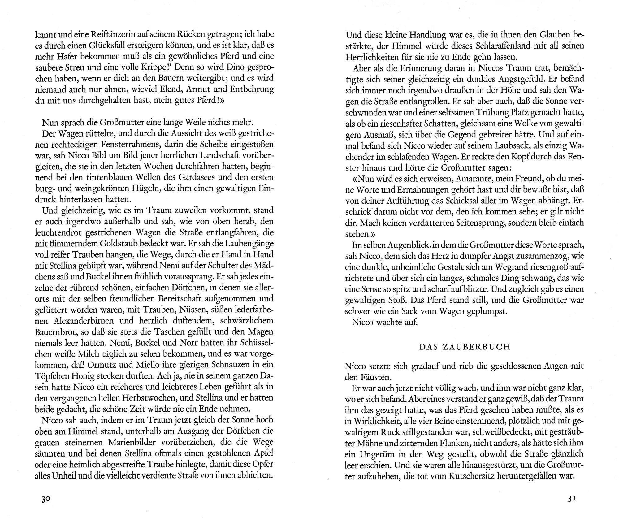 Bild: 9783716518847 | Land deiner Mutter | Nicco und die Sprache der Tiere | Lauber | Buch