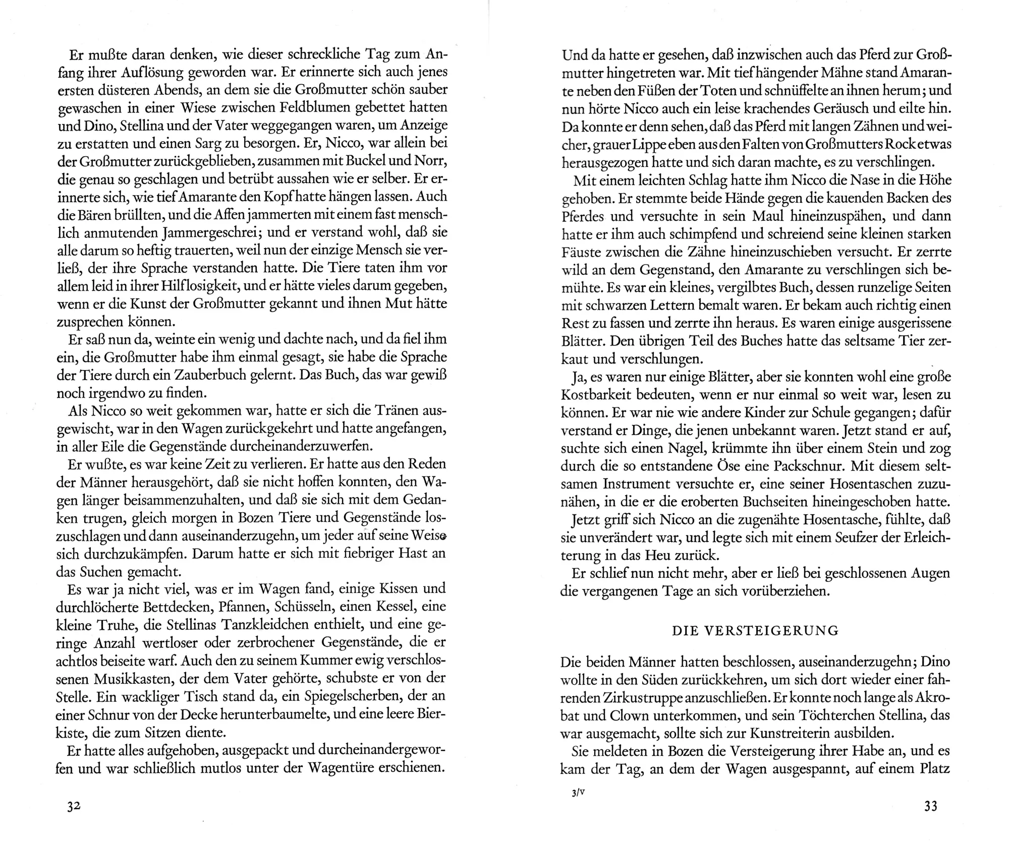 Bild: 9783716518847 | Land deiner Mutter | Nicco und die Sprache der Tiere | Lauber | Buch