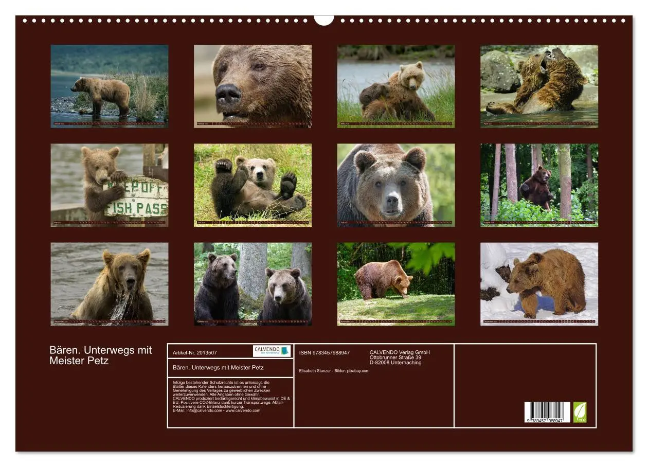 Bild: 9783457988947 | Bären. Unterwegs mit Meister Petz (Wandkalender 2026 DIN A2 quer),...