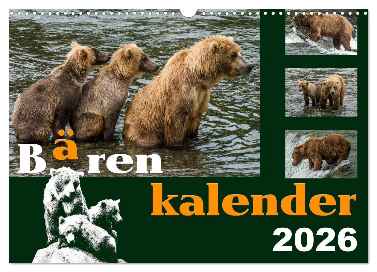 Cover: 9783516218947 | Bärenkalender (Wandkalender 2026 DIN A3 quer), CALVENDO Monatskalender