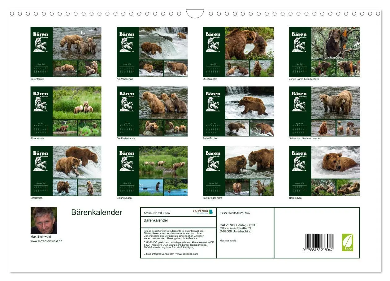Bild: 9783516218947 | Bärenkalender (Wandkalender 2026 DIN A3 quer), CALVENDO Monatskalender