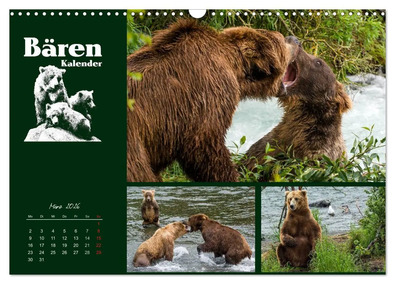 Bild: 9783516218947 | Bärenkalender (Wandkalender 2026 DIN A3 quer), CALVENDO Monatskalender