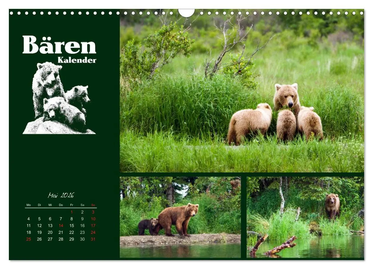 Bild: 9783516218947 | Bärenkalender (Wandkalender 2026 DIN A3 quer), CALVENDO Monatskalender