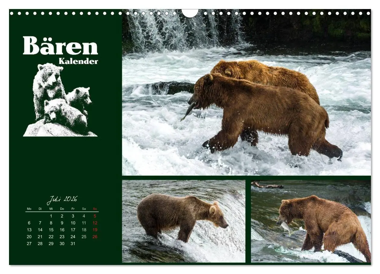 Bild: 9783516218947 | Bärenkalender (Wandkalender 2026 DIN A3 quer), CALVENDO Monatskalender
