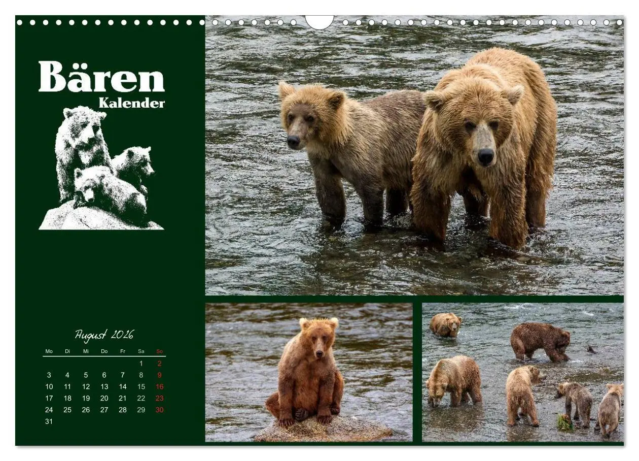 Bild: 9783516218947 | Bärenkalender (Wandkalender 2026 DIN A3 quer), CALVENDO Monatskalender