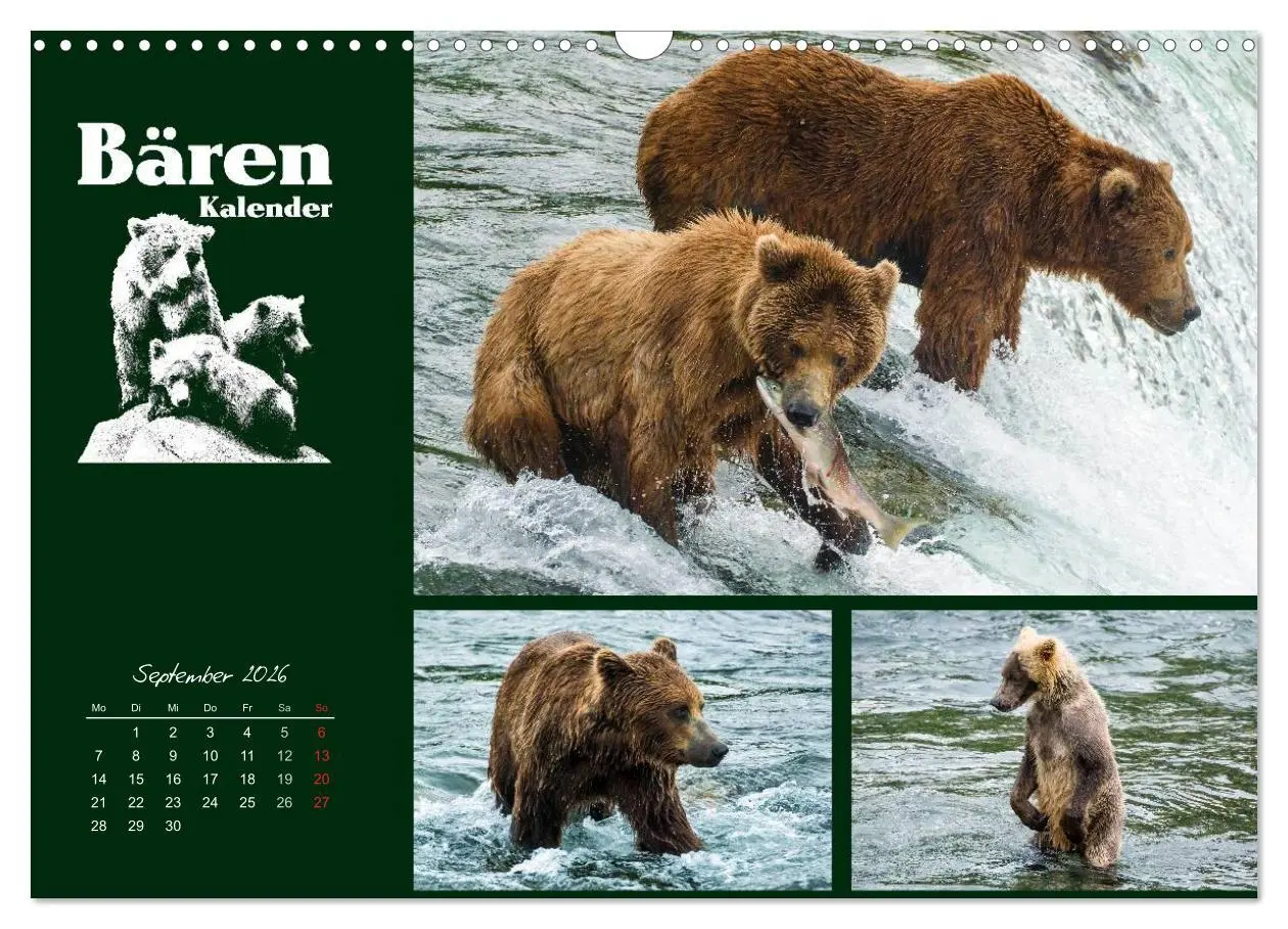 Bild: 9783516218947 | Bärenkalender (Wandkalender 2026 DIN A3 quer), CALVENDO Monatskalender
