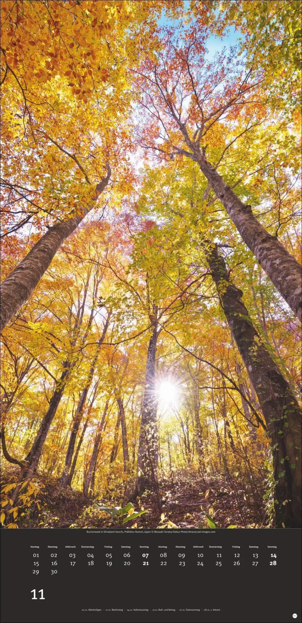 Bild: 9783756418947 | Colourful Nature 2027 | Kalender | 14 S. | Deutsch | 2027 | Heye