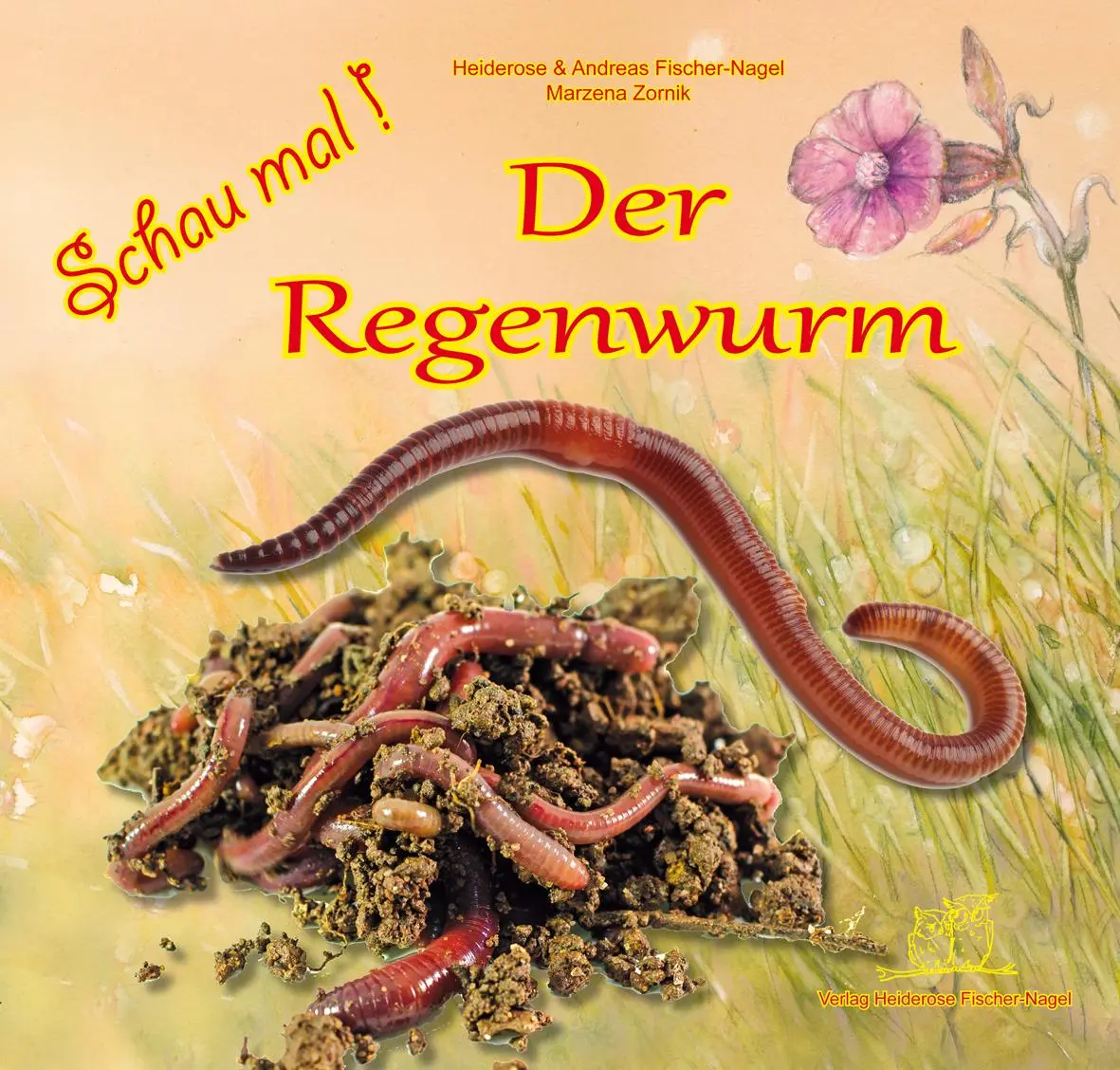 Cover: 9783930038947 | Schau mal ! / Schau mal! Der Regenwurm | Fischer-Nagel (u. a.) | Buch