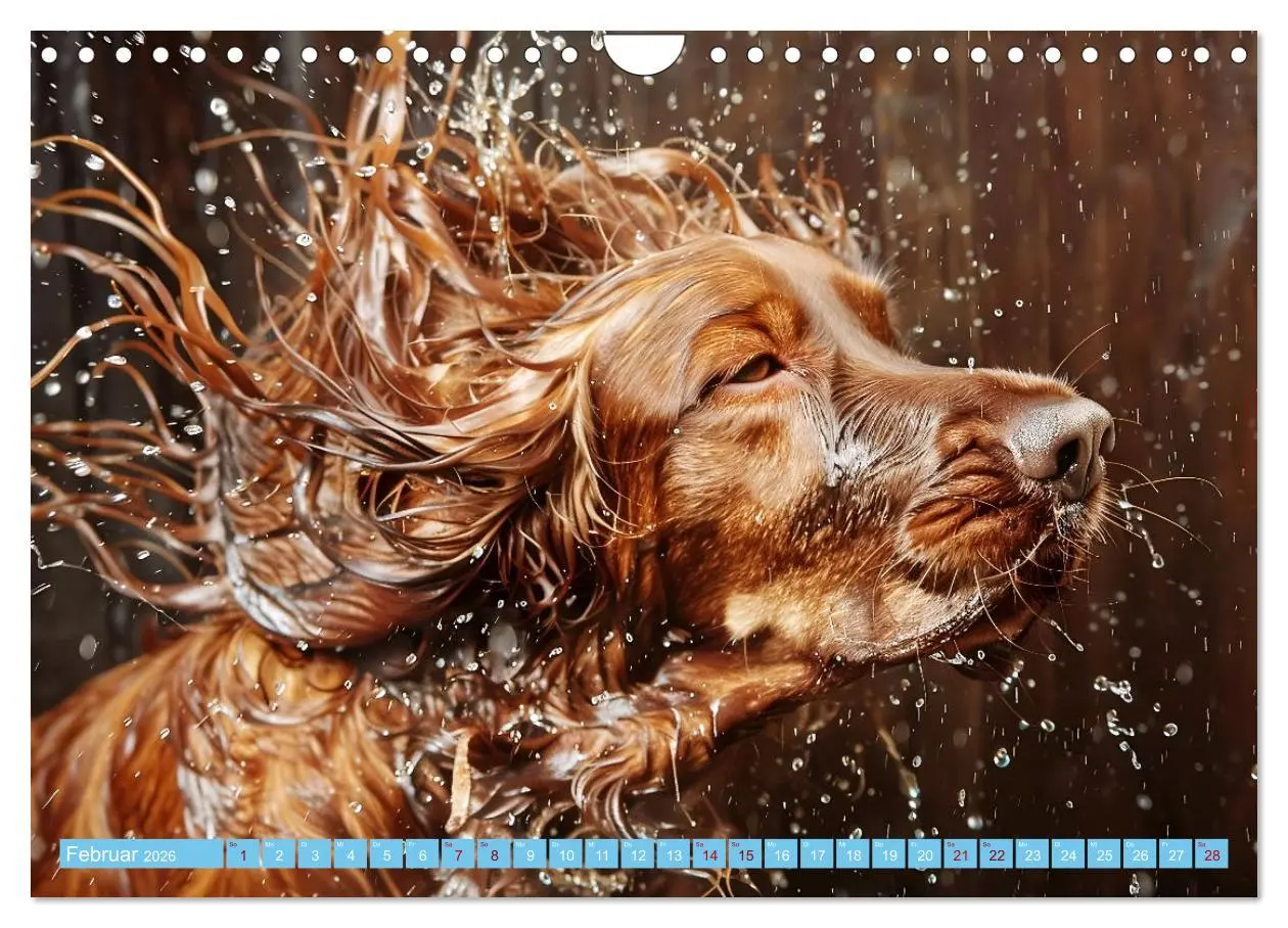 Bild: 9783457329047 | Hunde und Wasser (Wandkalender 2026 DIN A4 quer), CALVENDO...