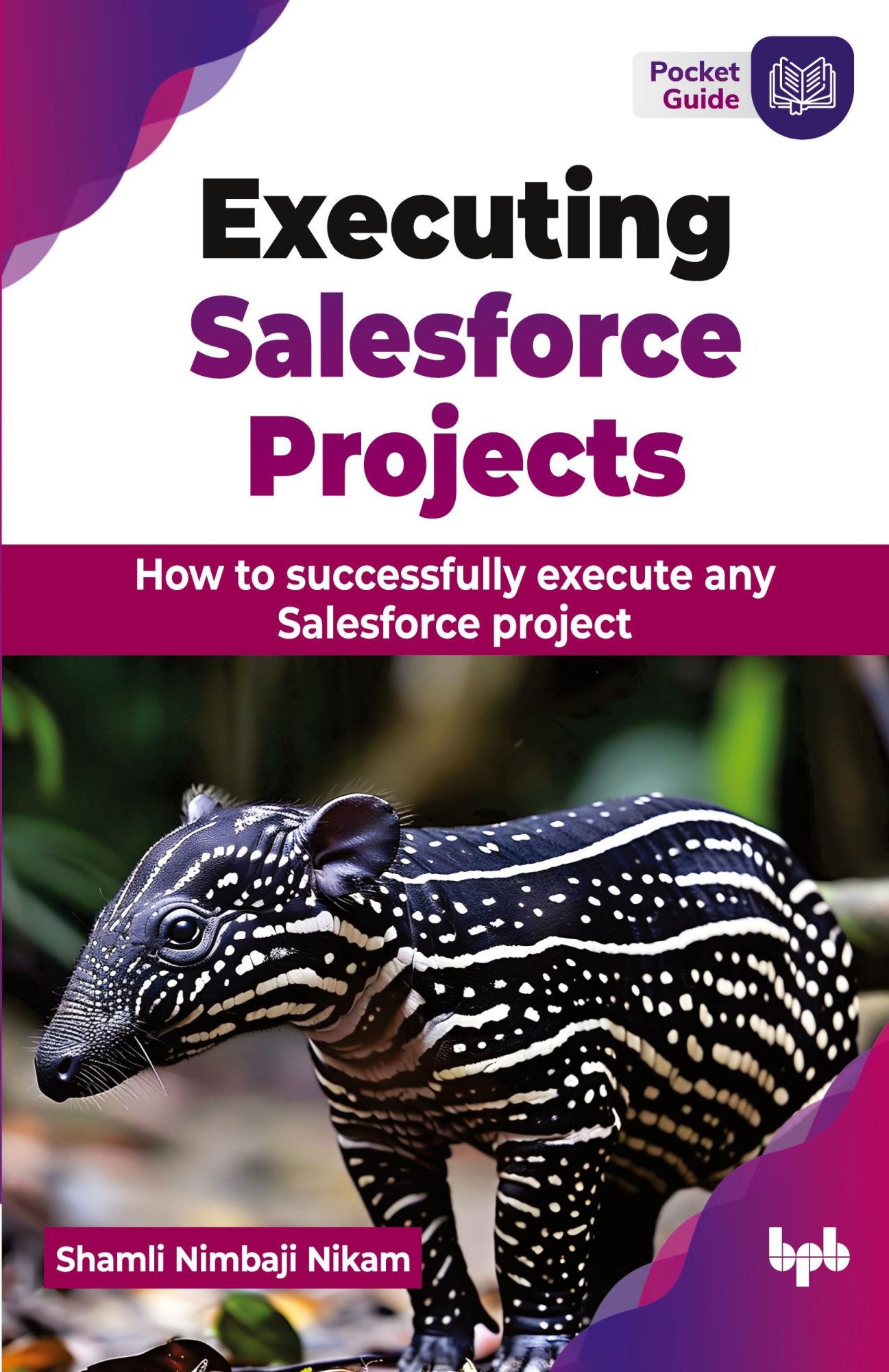 Cover: 9789355519047 | Executing Salesforce Projects | Shamli Nimbaji Nikam | Taschenbuch