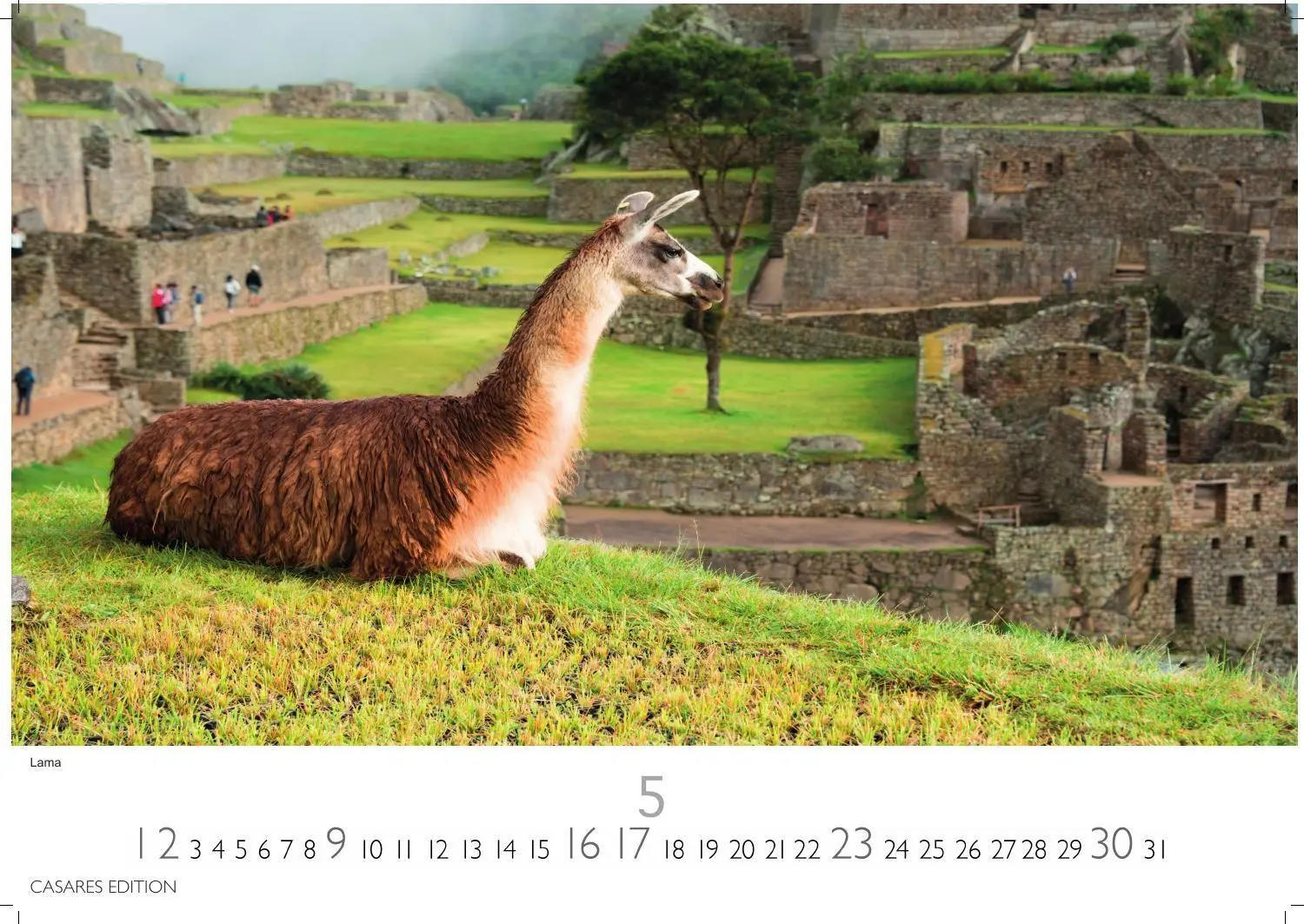 Bild: 9781835249147 | Peru Kalender 2027 - Wandkalender Fotokalender Südamerika 24x35cm -...