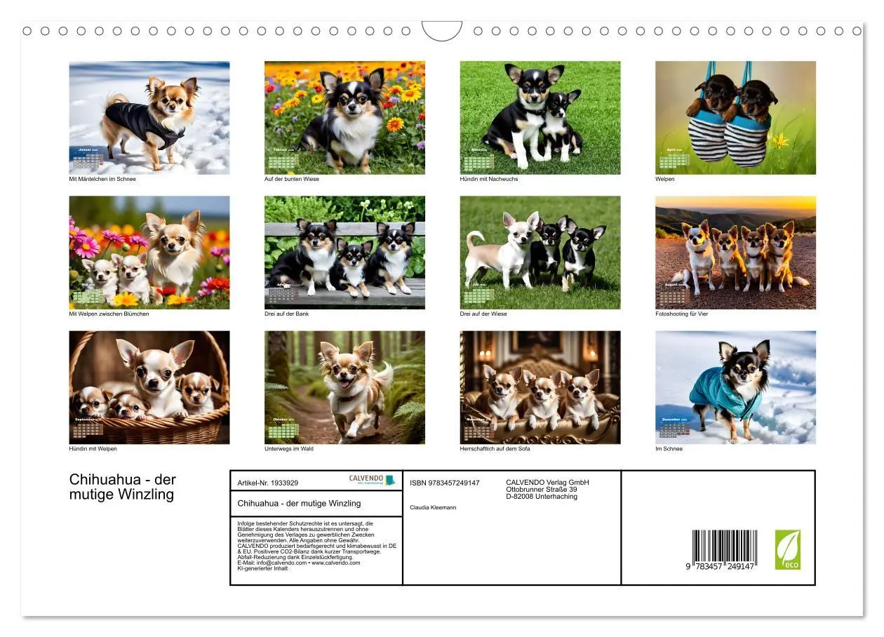 Bild: 9783457249147 | Chihuahua - der mutige Winzling (Wandkalender 2026 DIN A3 quer),...