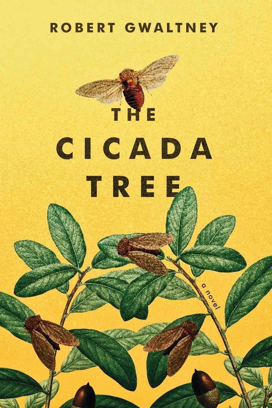 Cover: 9781952439247 | The Cicada Tree | Robert Gwaltney | Taschenbuch | Englisch | 2022