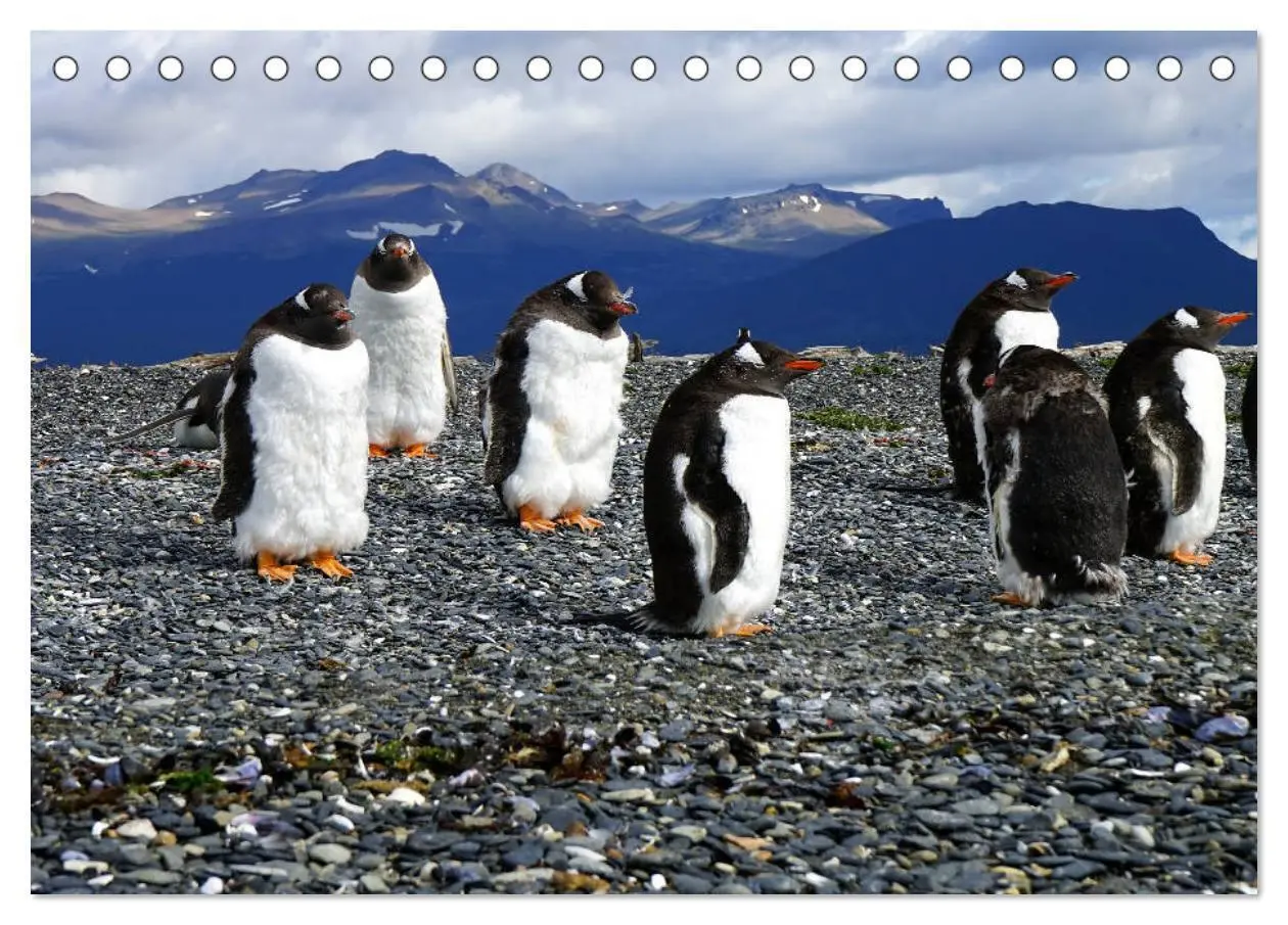 Bild: 9783435389247 | Argentinien - Von Iguazu bis Feuerland (Tischkalender 2025 DIN A5...