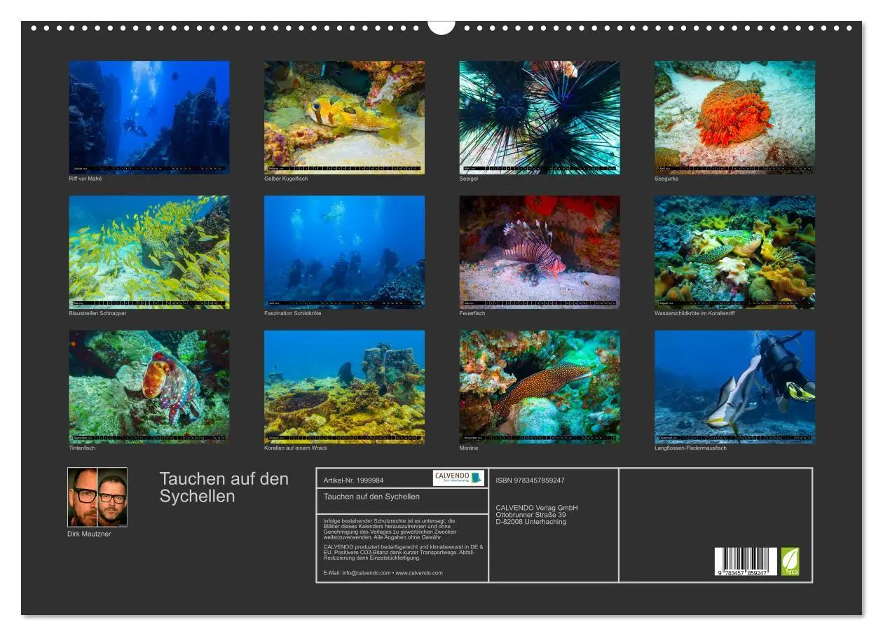 Bild: 9783457859247 | Tauchen auf den Sychellen (Wandkalender 2026 DIN A2 quer), CALVENDO...
