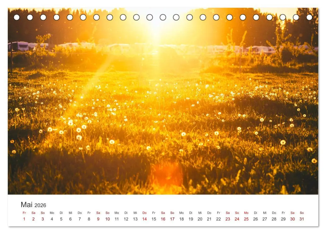 Bild: 9783457609347 | Finnland - Den Polarlichtern nahe. (Tischkalender 2026 DIN A5...