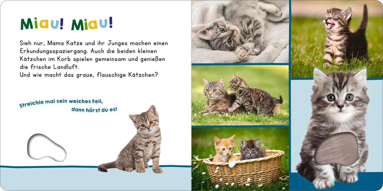 Bild: 9783845859347 | Hör mal rein, wer kann das sein? - Meine ersten Tiere | Buch | 12 S.