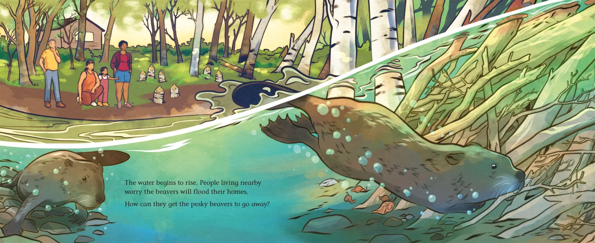 Bild: 9781250339447 | When Beavers Move in | Alison Pearce Stevens | Buch | Gebunden | 2026