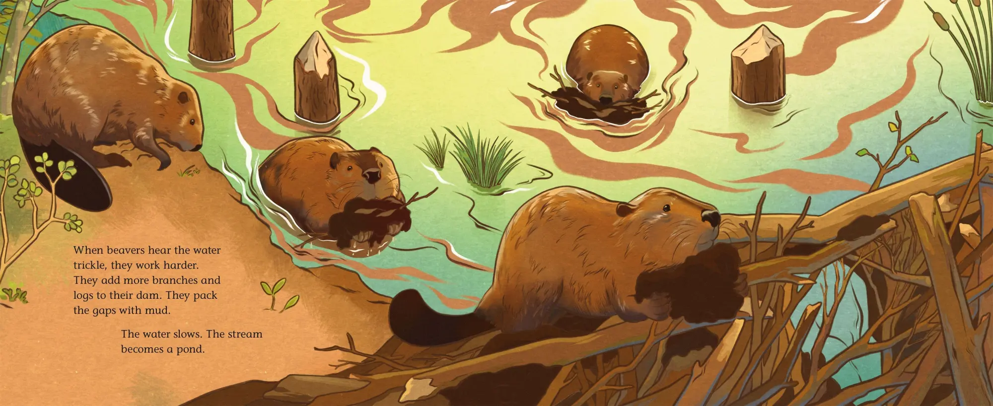 Bild: 9781250339447 | When Beavers Move in | Alison Pearce Stevens | Buch | Gebunden | 2026