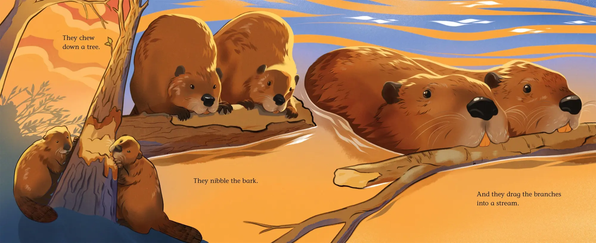 Bild: 9781250339447 | When Beavers Move in | Alison Pearce Stevens | Buch | Gebunden | 2026