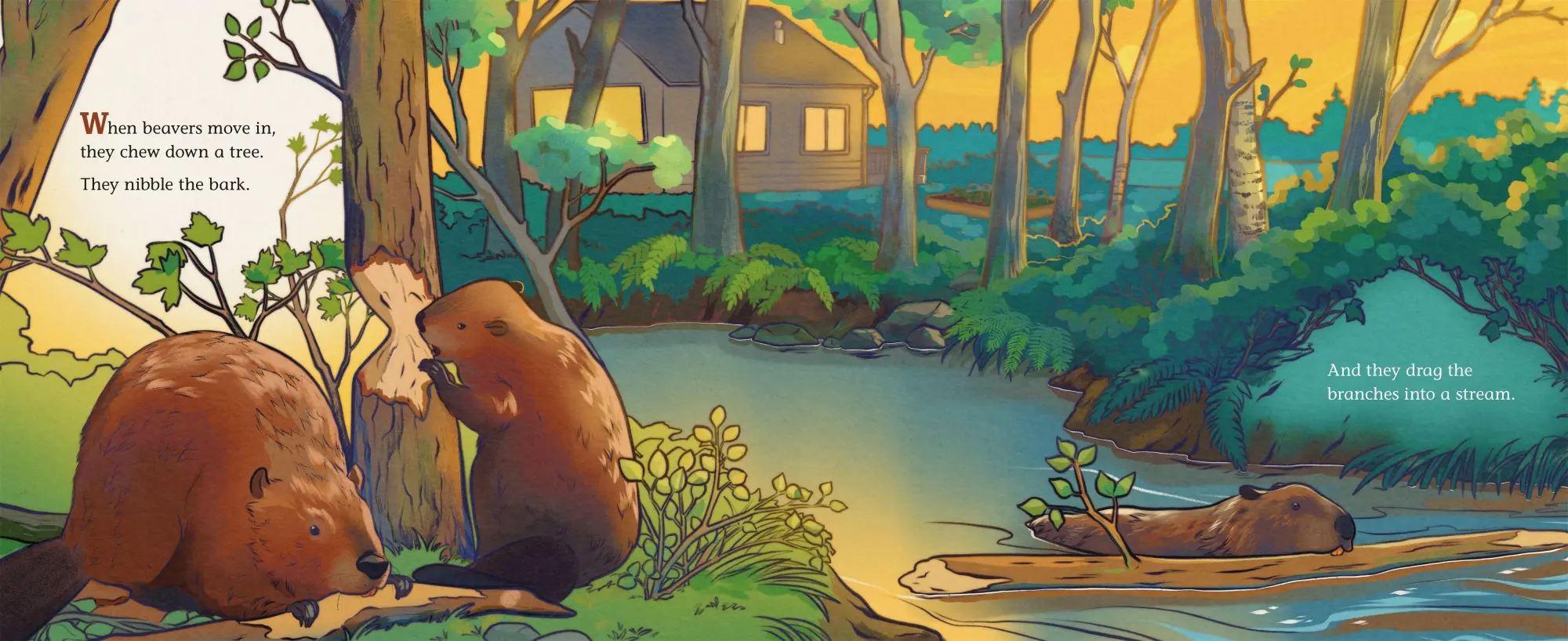 Bild: 9781250339447 | When Beavers Move in | Alison Pearce Stevens | Buch | Gebunden | 2026