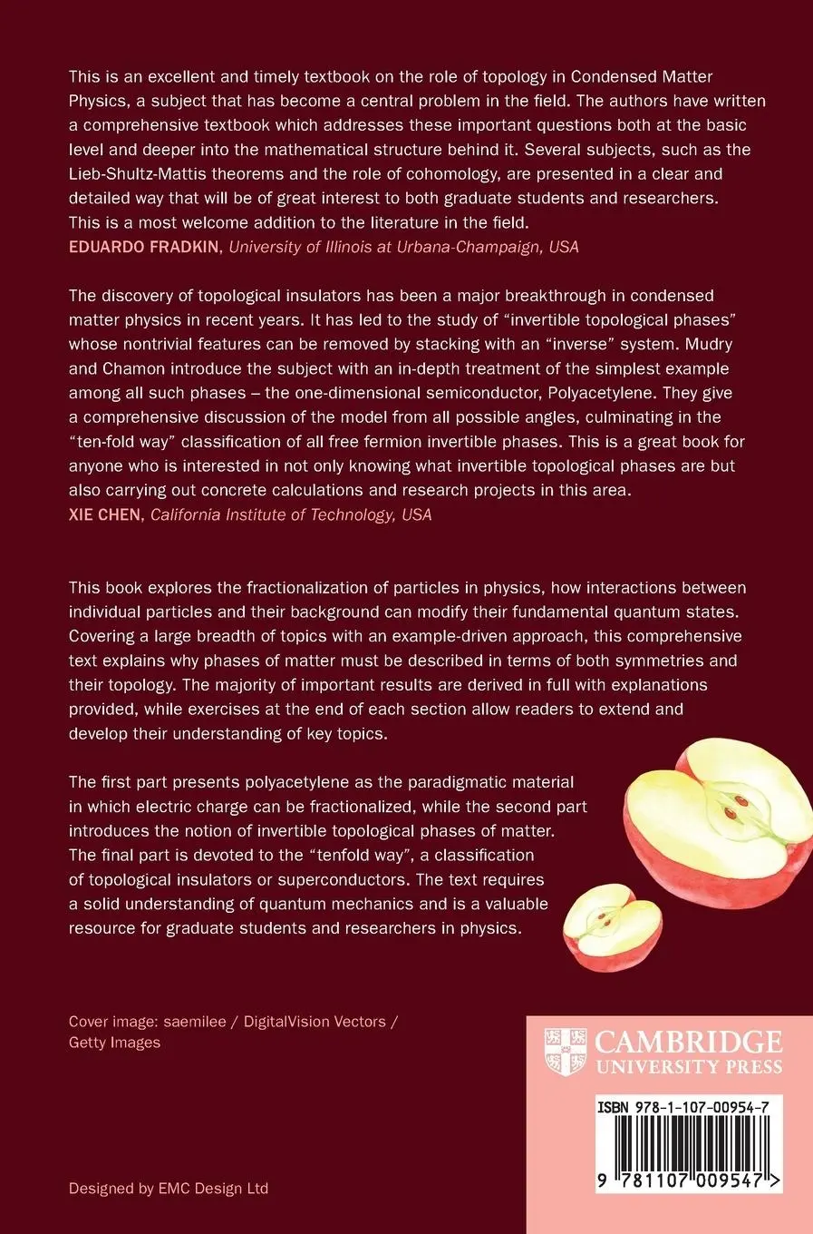 Rückseite: 9781107009547 | Fractionalization of Particles in Physics | Claudio Chamon (u. a.)
