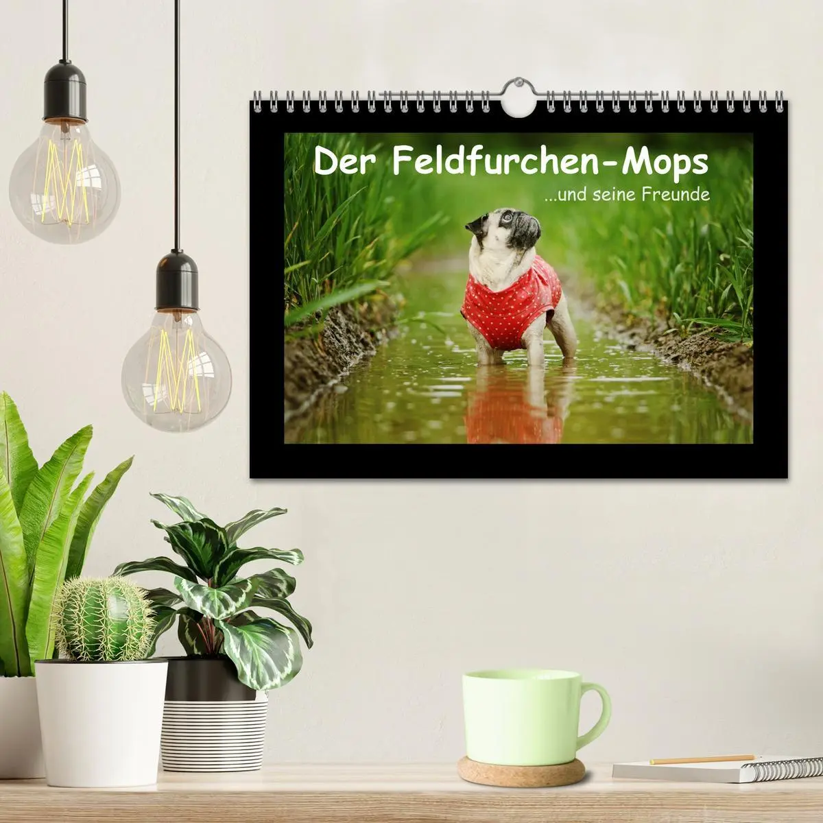 Bild: 9783516089547 | Der Feldfurchen-Mops (Wandkalender 2026 DIN A4 quer), CALVENDO...