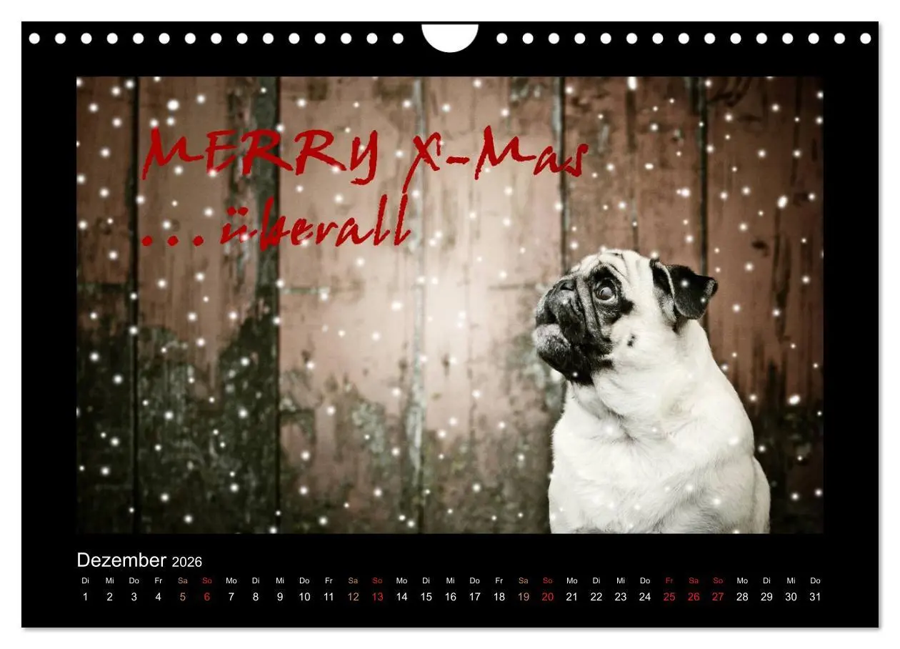 Bild: 9783516089547 | Der Feldfurchen-Mops (Wandkalender 2026 DIN A4 quer), CALVENDO...