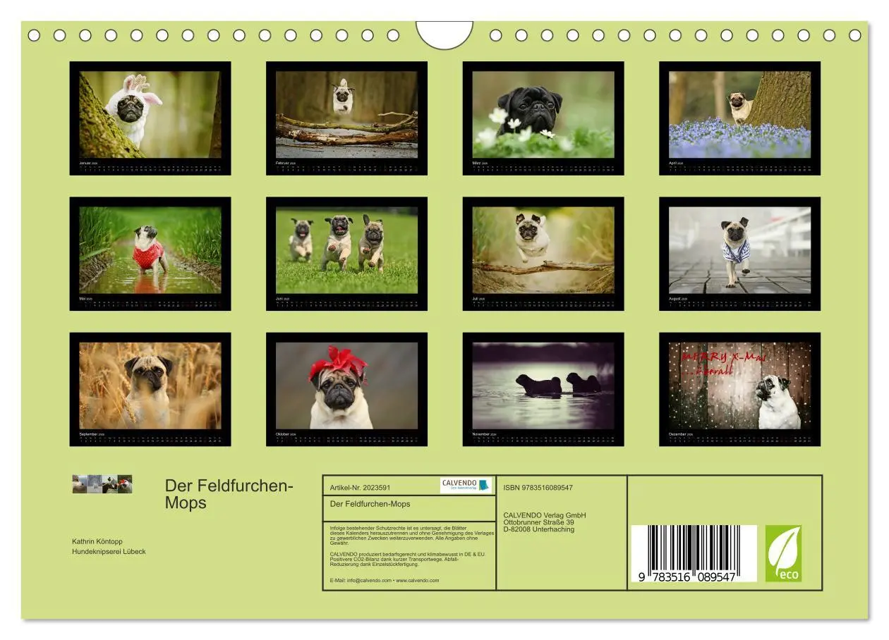 Bild: 9783516089547 | Der Feldfurchen-Mops (Wandkalender 2026 DIN A4 quer), CALVENDO...