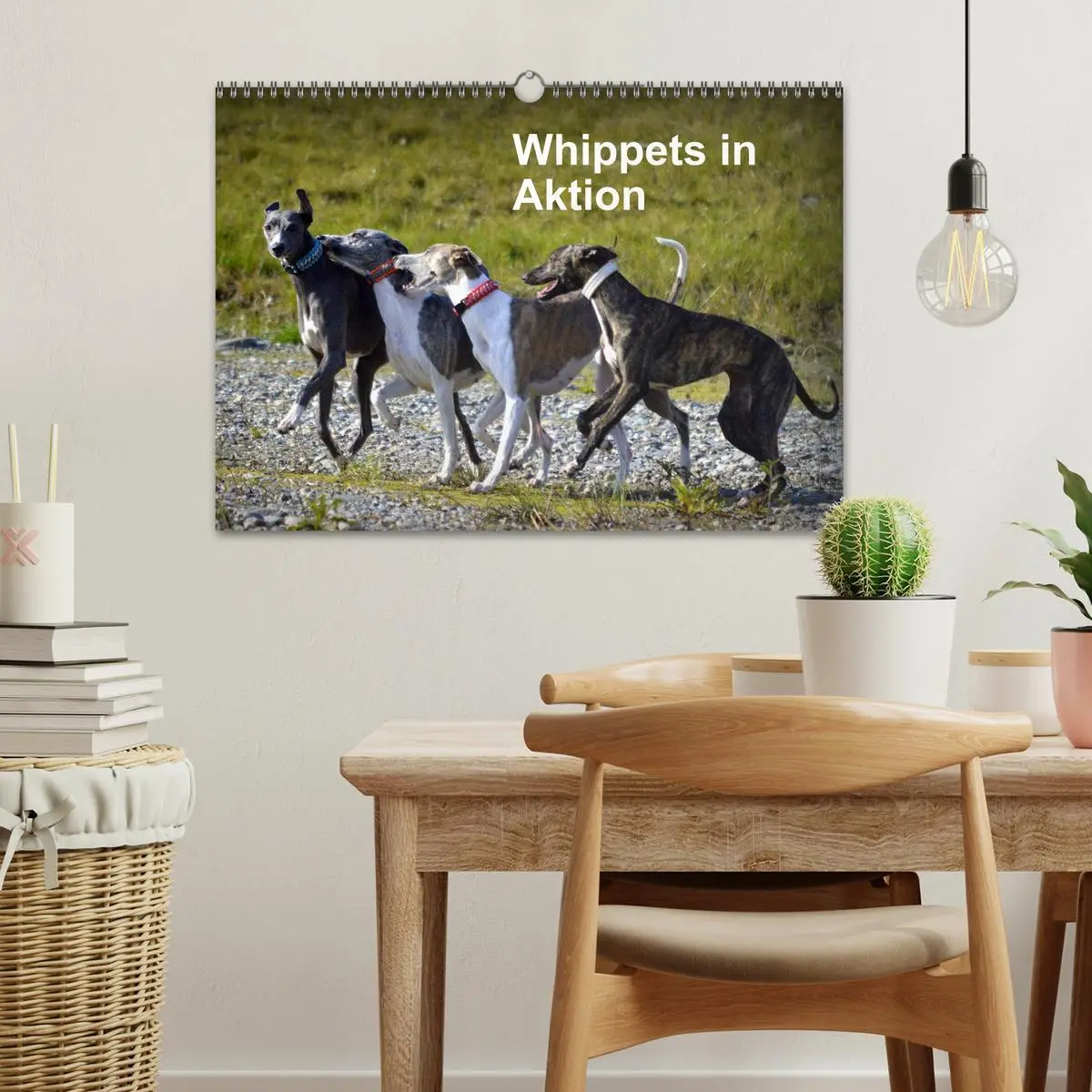 Bild: 9783516079647 | Whippets in Aktion (Wandkalender 2026 DIN A3 quer), CALVENDO...