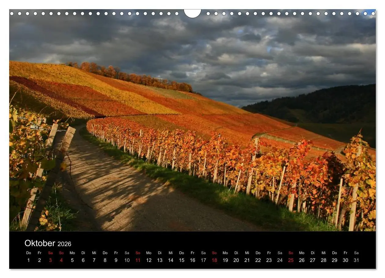 Bild: 9783516149647 | Mein Ortenaukalender 2026 (Wandkalender 2026 DIN A3 quer), CALVENDO...