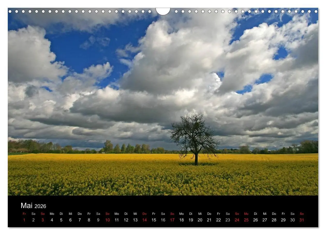 Bild: 9783516149647 | Mein Ortenaukalender 2026 (Wandkalender 2026 DIN A3 quer), CALVENDO...