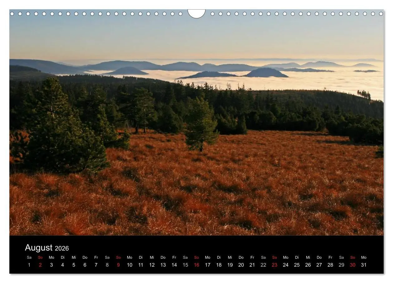 Bild: 9783516149647 | Mein Ortenaukalender 2026 (Wandkalender 2026 DIN A3 quer), CALVENDO...